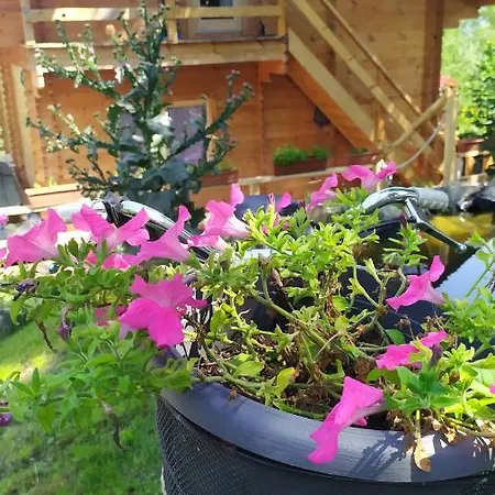 Appartamento Il Rifugio *