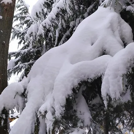 Il Rifugio Appartement Aosta